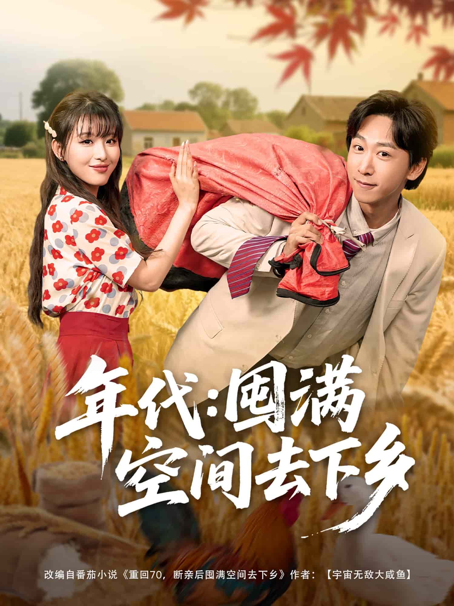 年代囤滿空間去下鄉(xiāng)