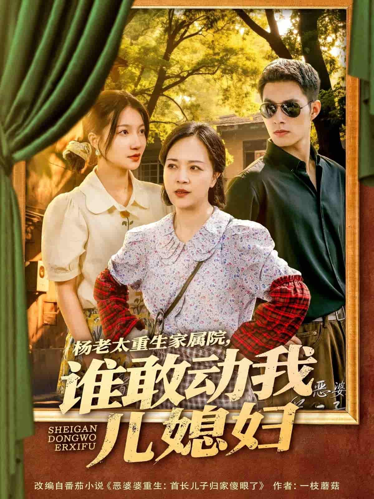 楊老太重生家屬院，誰敢動我兒媳婦