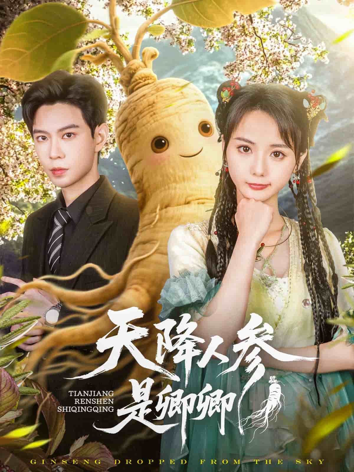 天降人參是卿卿