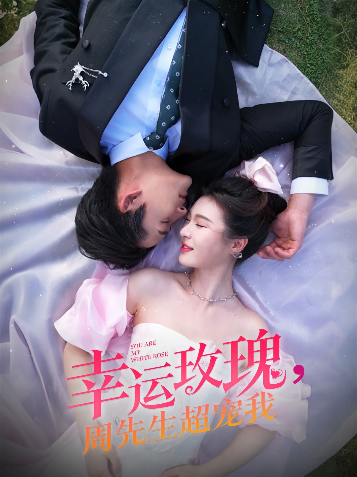 幸運(yùn)玫瑰，周先生超寵我