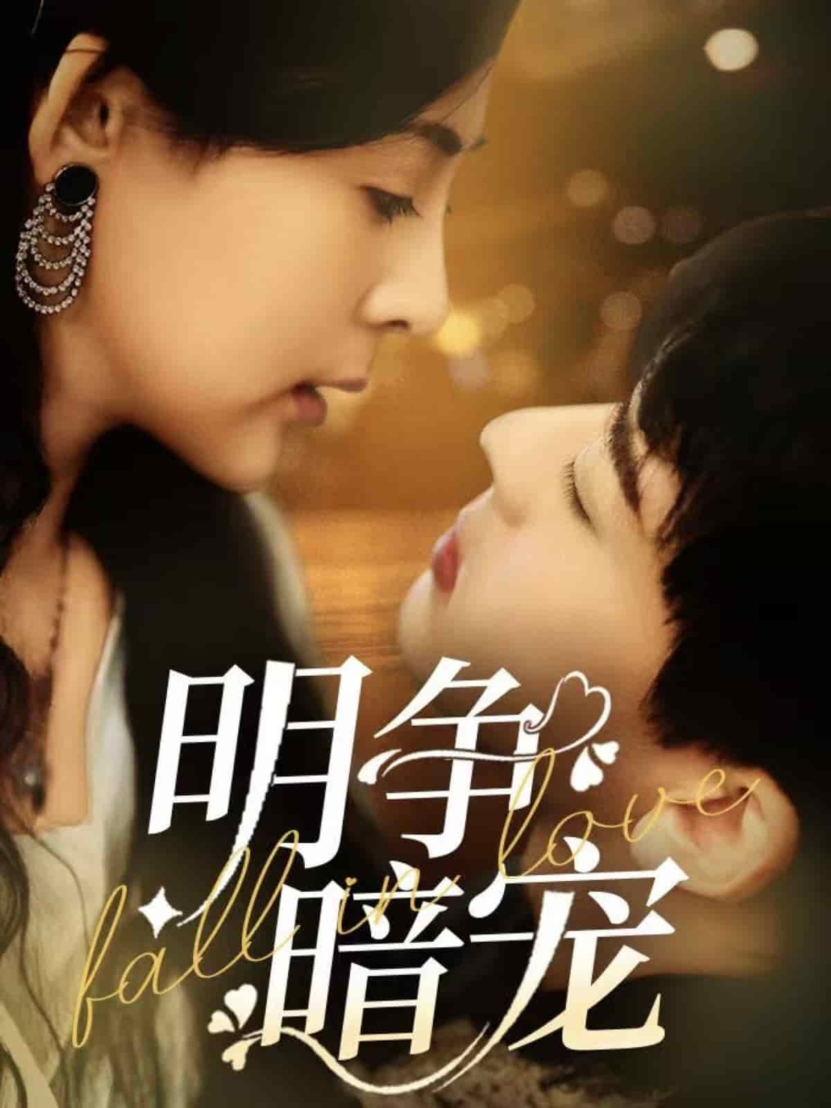 明爭(zhēng)暗寵