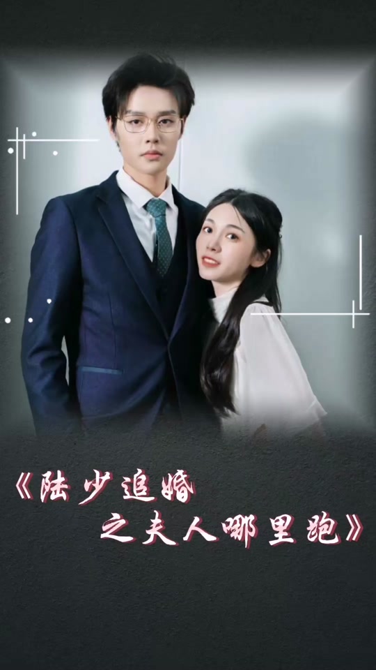 陸少追婚之夫人哪里跑