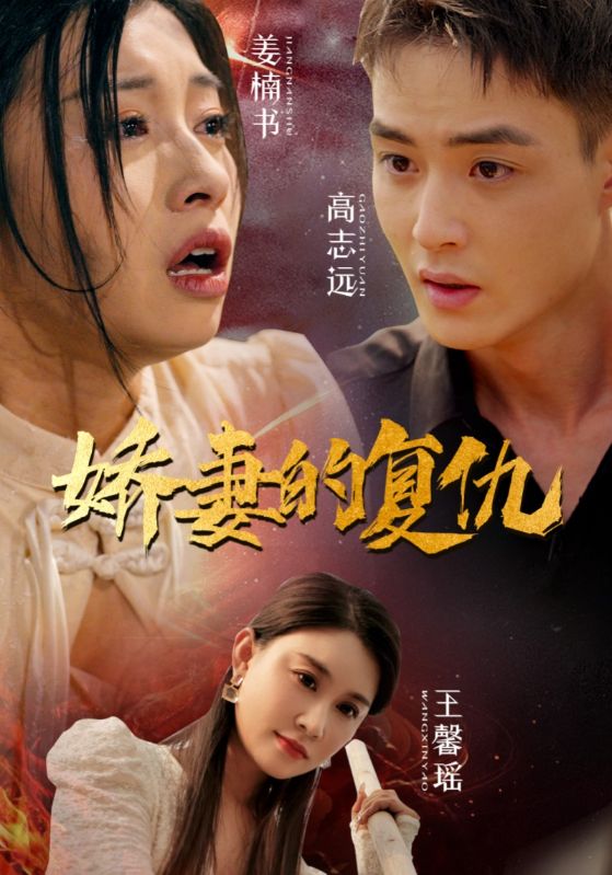 嬌妻的復仇