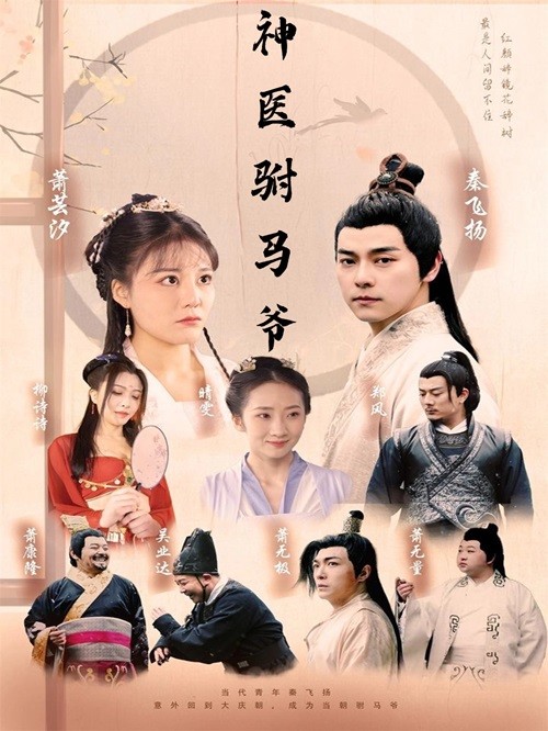 神醫(yī)駙馬爺