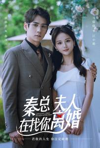 秦總，夫人在找你離婚