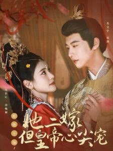 惹她干嘛，她二嫁但皇帝心尖寵