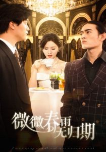 微微春雨無(wú)歸期