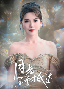 月光不曾抵達(dá)